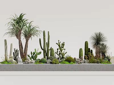Bonsai and Potted Plants Featuring Various Cacti Succulents on Gray Platform with Stones 3d model