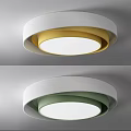 Modern Minimalist Ceiling Light With Gold And Green Inner Ring Design 3d model
