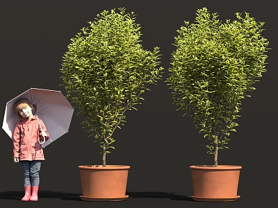 A Little Girl With Umbrella Standing Beside Two Green Potted Trees 3d model