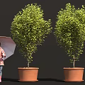 A Little Girl With Umbrella Standing Beside Two Green Potted Trees