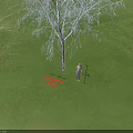 Tall Arbor Growing In Lush Green Grassland With Standing Person And Natural Scene