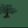 Lush Green Leafy Tree With Thick Trunk Visible Roots And Red Hanging Fruits