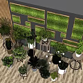 Bonsai and Potted Plants Interior Decor with Green Wall Various Plant Types and Wooden Shelves