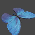 Vibrant Blue Butterfly With Iridescent Wings Casting Soft Shadow on Neutral Background