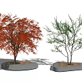 Modern Tree Landscape Tree 3d model