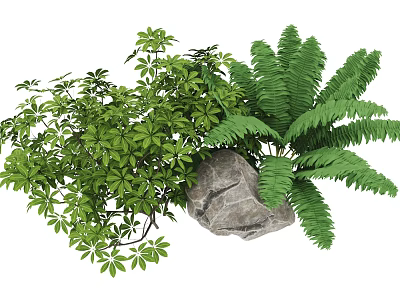 Green Plant Combination with Fern Leaves and Shrub Foliage and Natural Stone Accent 3d model