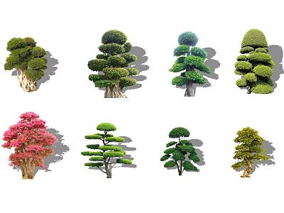 Various Pruned Arbor Trees With Shaped Layers And Colorful Foliage For Garden Landscaping 3d model