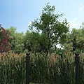 Picturesque Landscape with Blue Sky Green Trees Purple Flowers Black Fence and Tall Grass
