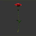 Red Rose with Green Stem and Leaves on Gray Background with Reflection