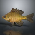 Lifelike Resin Fish Figurine Decorative Model for Home Aquarium Decoration Accessory