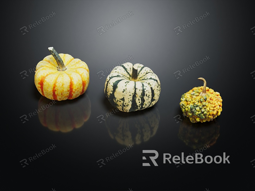 Modern Pumpkin Vegetables model