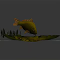 Vibrant Orange Fish With Green Aquatic Plants On White Foam Base Against Dark Backdrop