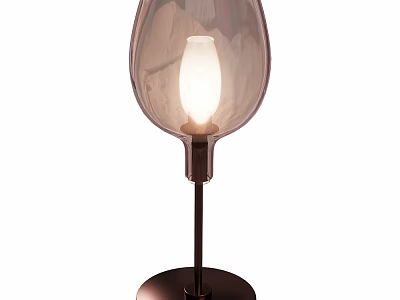 Contemporary Table Lamp Featuring Frosted Glass Shade And Bronze Metal Base With Warm Glow 3d model
