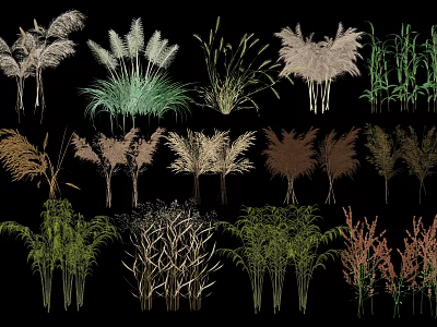 Various Types of Flowers and Plants Including Reeds Grasses and Shrubs with Multiple Colors 3d model
