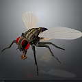 Detailed Realistic Fly With Red Eyes Transparent Wings And Striped Body On Dark Background