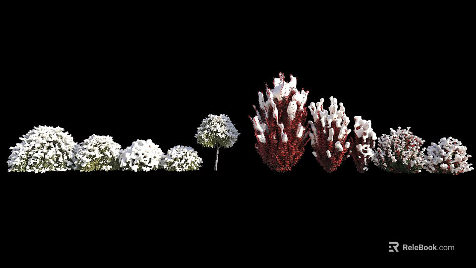 Ornamental Bushes With White Red Foliage Round And Clustered Shapes Displayed In Row 3d model 