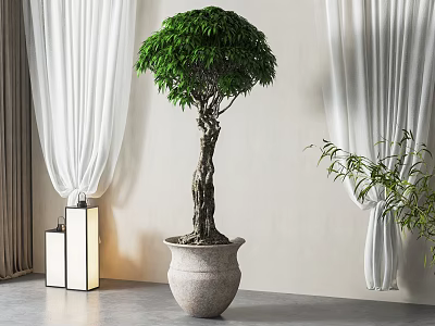 Lush Green Bonsai Tree in Stone Pot with White Curtains and Lantern Lamp 3d model