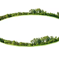 Lush Arbor Trees Creating Circular Natural Landscape With Green Grass And Foliage