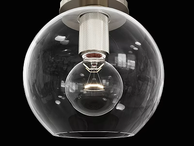 Stylish Transparent Spherical Glass Ceiling Light With Modern Bulb Inside Design 3d model
