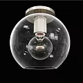 Stylish Transparent Spherical Glass Ceiling Light With Modern Bulb Inside Design
