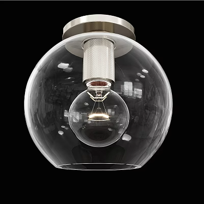 Stylish Transparent Spherical Glass Ceiling Light With Modern Bulb Inside Design 3d model