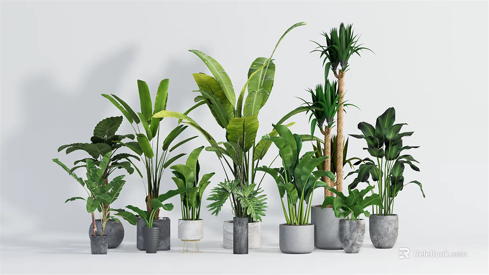 Various Green Potted Plants With Different Designed Pots For Modern Indoor Decoration 3d model 