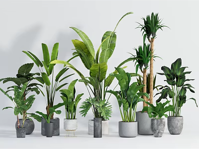 Various Green Potted Plants With Different Designed Pots For Modern Indoor Decoration 3d model
