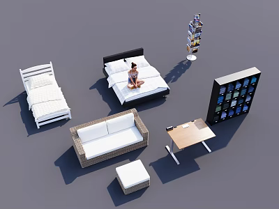 Double Bed With Sofa Coffee Table And Bookshelf In Room Interior Setup 3d model