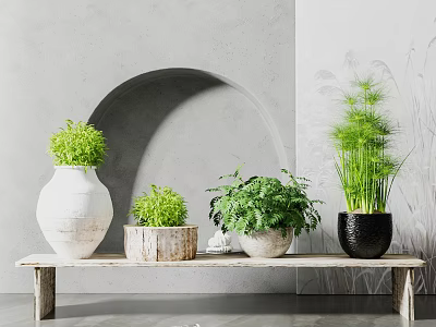 Elegant Bonsai and Potted Plants on Wooden Bench with Ceramic and Wooden Planters 3d model