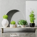 Elegant Bonsai and Potted Plants on Wooden Bench with Ceramic and Wooden Planters