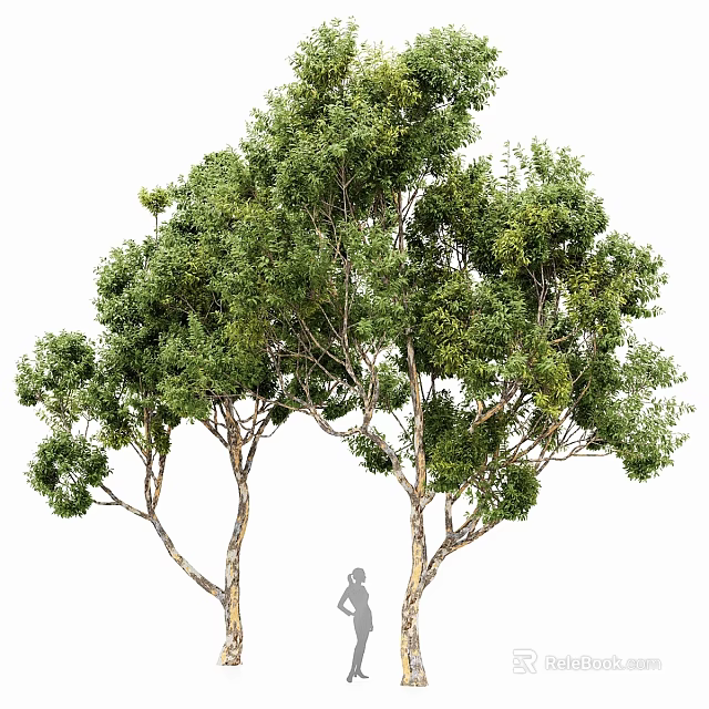 Ornamental Garden Decor Featuring Two Trees With Green Leaves And Sturdy Trunks For Landscaping 3d model 