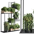 Lush Various Potted Plants Arrangement On Multi tiered Metal And Wooden Shelves Indoor