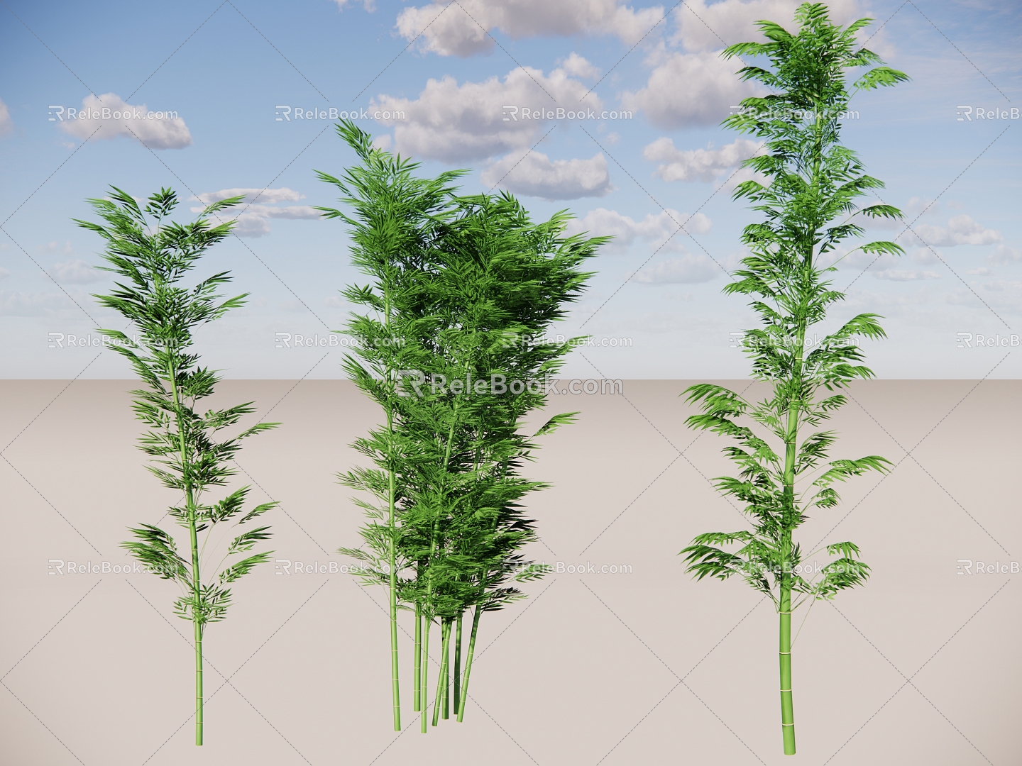 Hedgerow Bamboo Cluster Landscape Bamboo Bamboo Bamboo Vegetation Bamboo Fence Lush Bamboo Forest 3d model