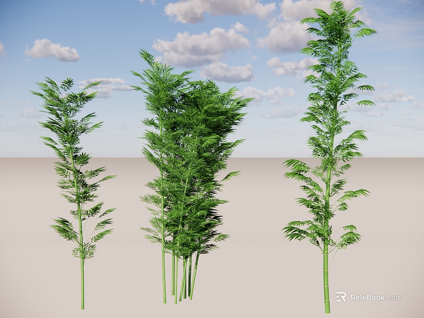 Three Green Bamboo Plants Standing Against Blue Sky With White Clouds On Light Colored Ground 3d model 