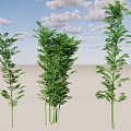 Hedgerow Bamboo Cluster Landscape Bamboo Bamboo Bamboo Vegetation Bamboo Fence Lush Bamboo Forest 3d model