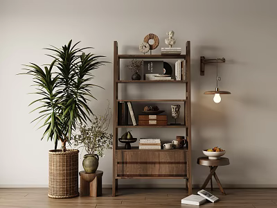 Wooden Bookshelf With Books Decorative Items Palm Plant Wall Lamp And Fruit Bowl 3d model