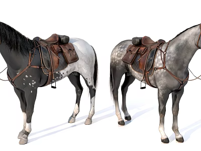 Spotted Gray Horses With Leather Saddle And Bridle Harness Details 3d model
