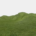 Lush Vibrant Flowers And Green Grass Covering Rolling Hills Natural Scenery