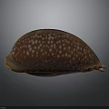 Detailed Biological Organ With Fine Hair Texture And Natural Surface Features