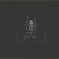 Detailed Dark Beetle With Long Antennae And White Spots On Reflective Background
