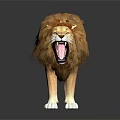Realistic 3D Lion Model With Roaring Expression Standing On Reflective Black Surface 3d model