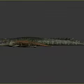 Green Crocodile with Open Mouth and Small Lizard with Long Tongue on Gray Background