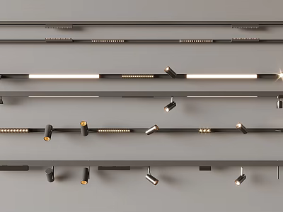 Modern Downlights and Spotlights Ceiling Lighting Fixtures With Track Mounted Design And Adjustable Angles 3d model