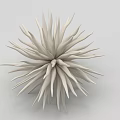 White Spiky Radial Design Ornament Decoration Set for Modern Home Decor Accent