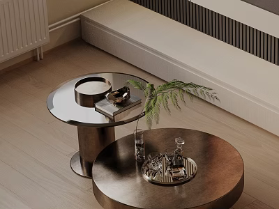 Modern Sofa and Coffee Table Set With Round Metal Tables Decorative Tray Books Plant Glassware 3d model