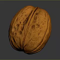 Close Up View Of Whole Brown Walnut With Textured Shell On Dark Background
