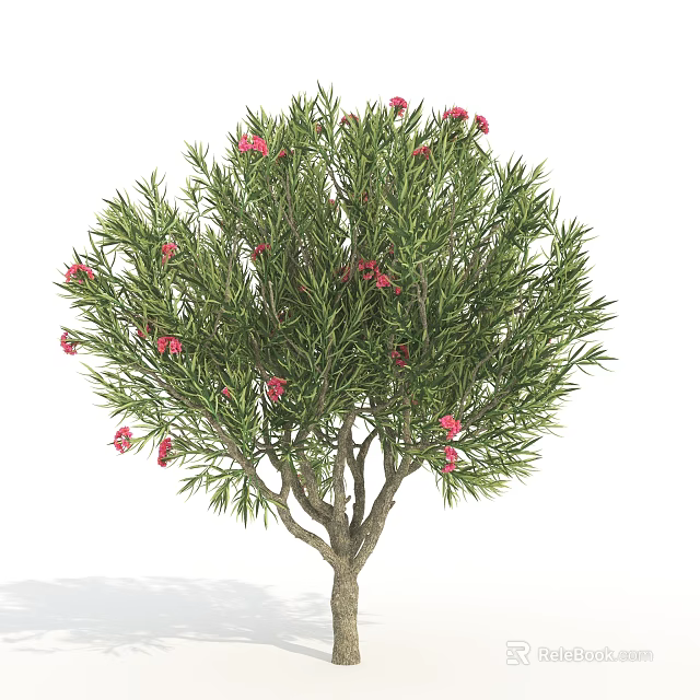 Lush Tree with Green Foliage and Pink Flowers in Natural Environment 3d model 
