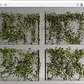Green Vines Covering Wire Mesh Panels For Outdoor Decorative Screens
