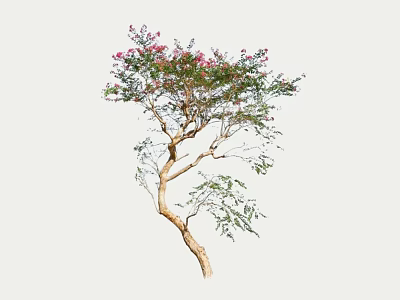 Graceful Arbor With Curved Trunk Green Leaves And Pink Flowers 3d model
