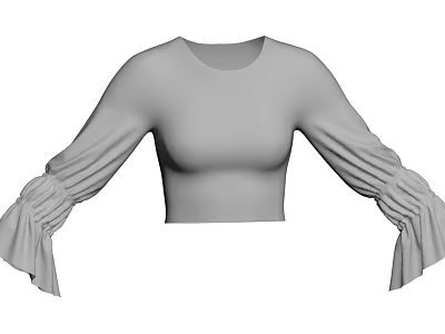 Gray Cropped Top with Puffed Ruffled Sleeves Women's Casual Fashion Design 3d model